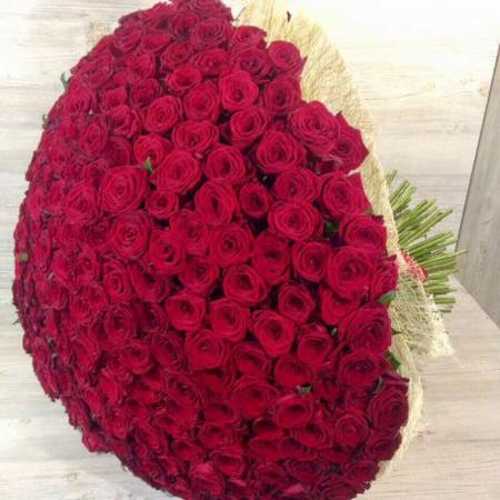 Букет из 301 красной розы ( 70см)