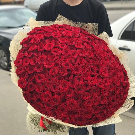 Букет 201 красная роза «Ред Наоми» 50 см